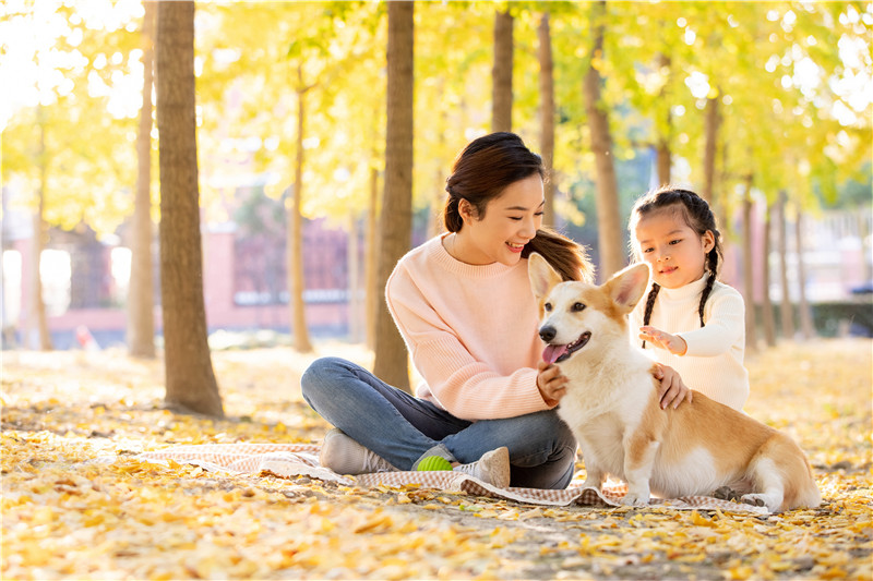 喜欢养狗的女孩子性格