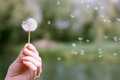 梦见男朋友和别的女人在一起