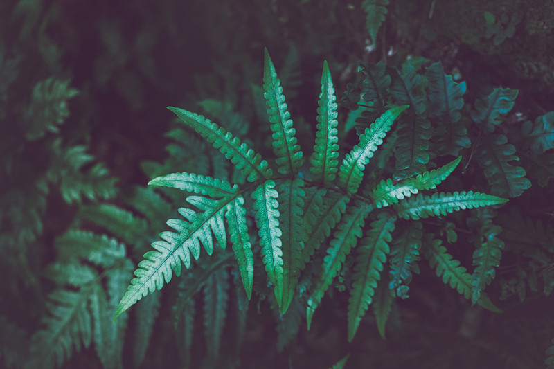 如何调节抑郁情绪？（四）